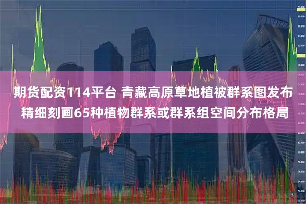期货配资114平台 青藏高原草地植被群系图发布 精细刻画65种植物群系或群系组空间分布格局